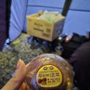 서진 | 광양 서진이네 오토캠핑장 솔직후기