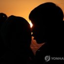 태양연합치과 연합뉴스