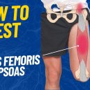 장요근(Psoas), 대퇴직근(Rectus Femoris), 대퇴근막장근(TFL) 근력 및 손상 평가 방법 이미지
