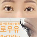 씨유 울산진장사거리점 | 울산달동속눈썹펌 로우유 또렷한 눈매 블랙틴팅 후기-!