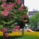 섬안경로당 이미지