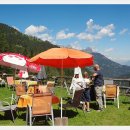 훼밀리아 이미지