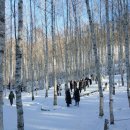 인재숲협동조합 이미지