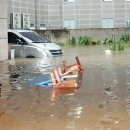 문흥중앙초교 이미지