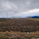 하우스코너공인중개사사무소 이미지