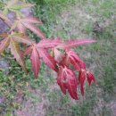 흥부네집 이미지