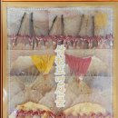 삼천포건어물 - 사상구 사상로481번길 9 | 삼천포건어물