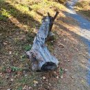 단양팔경(부산) 이미지