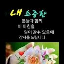 신비코 이미지
