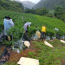 청기면사무소 이미지