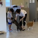 별이랑 놀자 이미지