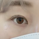 팅커벨브로우