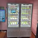 군산문창초등학교 이미지