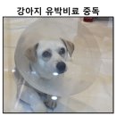 고려종합비료 이미지