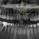 동탄연세원구강악안면외과치과의원 이미지
