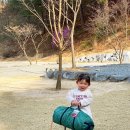 홍천 캠프인디오 캠핑장 후기