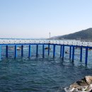 삼사 바다산책로 이미지