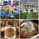 남사-12 | 용인 남사화훼단지와 근처 순메밀막국수 맛집 영업시간 및 방문 후기
