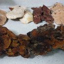 내린천약초 이미지