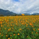 황산공원 농구장 | 10월초 양산 황산공원 다녀온 후기
