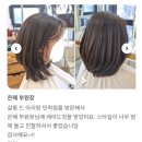 제일머리 | 레이어드허쉬컷 잘 하는 미용실에서 제일 애매한 머리기장 정리 | 기르면서 제일 손질 편해지는 커트 후기