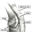 바로선한의원 이미지