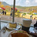 핑크 그라운드 | 김제 금산사 근처 대형 카페 가을 감성 가득한 핑크뮬리 정원 맛집 헤이그라운드 방문 후기