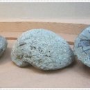 부산해양자연사박물관 이미지