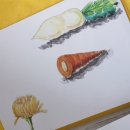 한림가락유치원 이미지