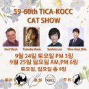 랙돌캐터리 이미지