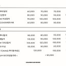 컬러드헤어디자인