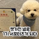 반려하다 | 넬로메이트 1기 김러브 선정되다