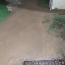 대성축산유통 이미지