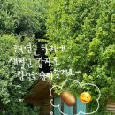 해달요가