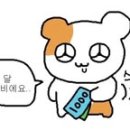 모미지마곡