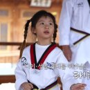 노화태권도 이미지