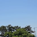 월내역의 기억 이미지
