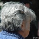 선양시니어빌리지 네이버블로그
