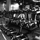 더 찬스 짐 이미지