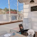 스테이제부 이미지