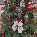 아하노래방 | 리뉴얼 된 동탄 반송동 키즈카페 대형 트램펄린 점핑 몬스터 동탄점