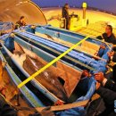 돌고래민박 이미지