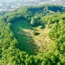 우지연대 이미지