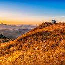 무장애 공연 | 합천 황매산 무장애 축제|무료 셔틀