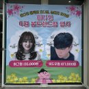 로얄카크리닉 | 울산 무거동 미용실 예다연 울산대점 서아쌤 클리닉