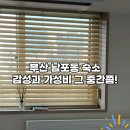 말리꽃펜트하우스 이미지