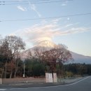 파동하부공원 | [시즈오카여행/2025.12] 내돈내산 후지산 소소버스 투어 후기