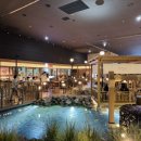 차이나 앤 푸드 이미지