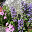 동산밧데리 이미지