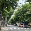도미노피자 성산점 | 주차가능 망원카페 작업 하기좋은 망원역카페 47625커피